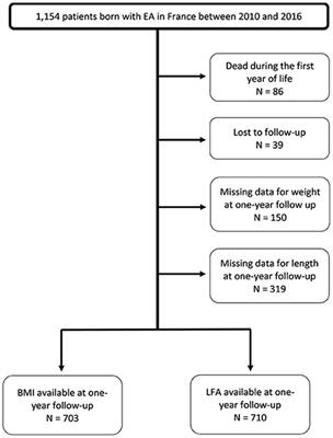 Nutritional status at age 1 year in patients born with esophageal atresia: A population-based, prospective cohort study